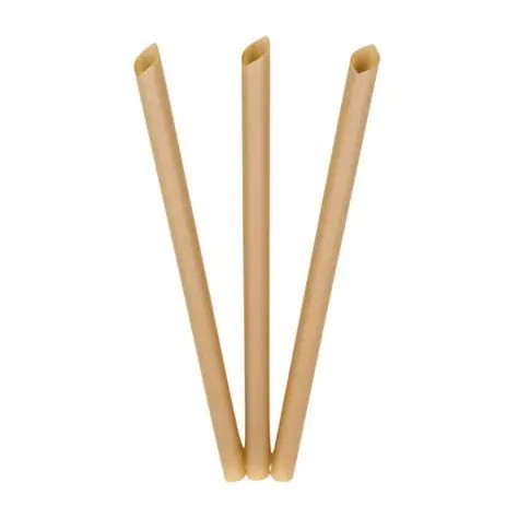 Straws (SUGARCANE) - Jumbo - 210mm x 8mm - 1000/CTN