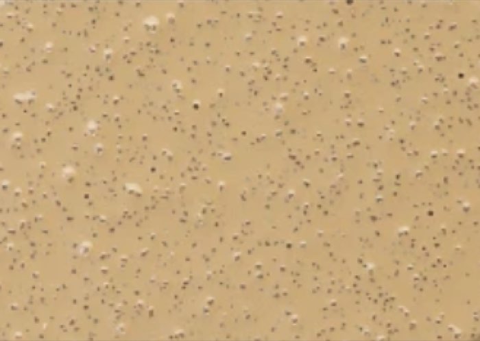 Tan color swatch