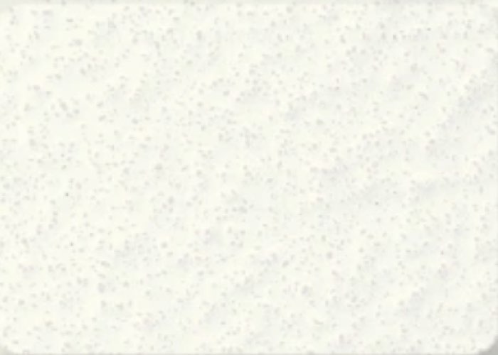 White color swatch