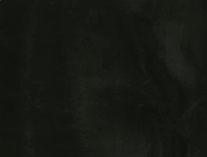 Black Onyx color swatch