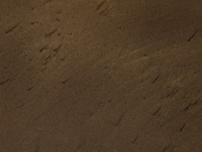 Coffee color swatch
