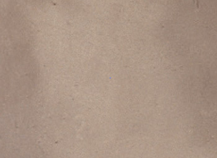 Wilderness color swatch