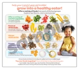Toddler Nutrition Guide 