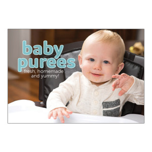 Baby Purees book