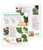 Set of Fruit and Vegetable Recipe Sheets 