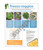 Freeze Veggies Instructional Sheet