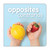 Opposites Children's Book
