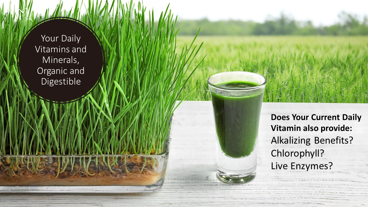 Organic Wheatgrass