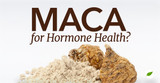 Living Traditionally is Introducing Maca Powder