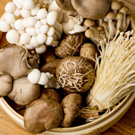 Mushrooms:  Nutrition and Medicinal Facts