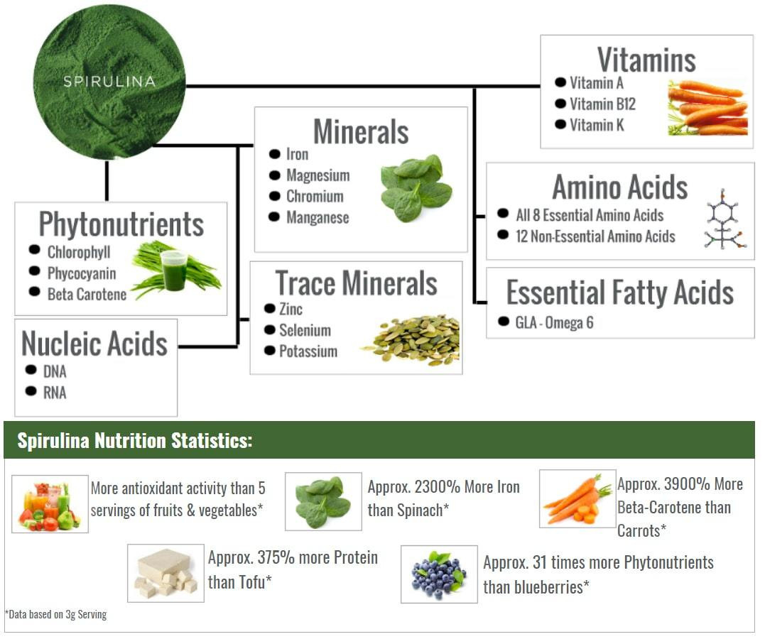 Organic Spirulina Powder