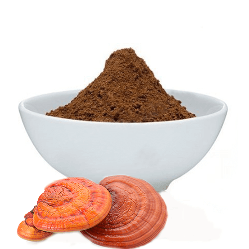Organic Reishi Mushroom Powder