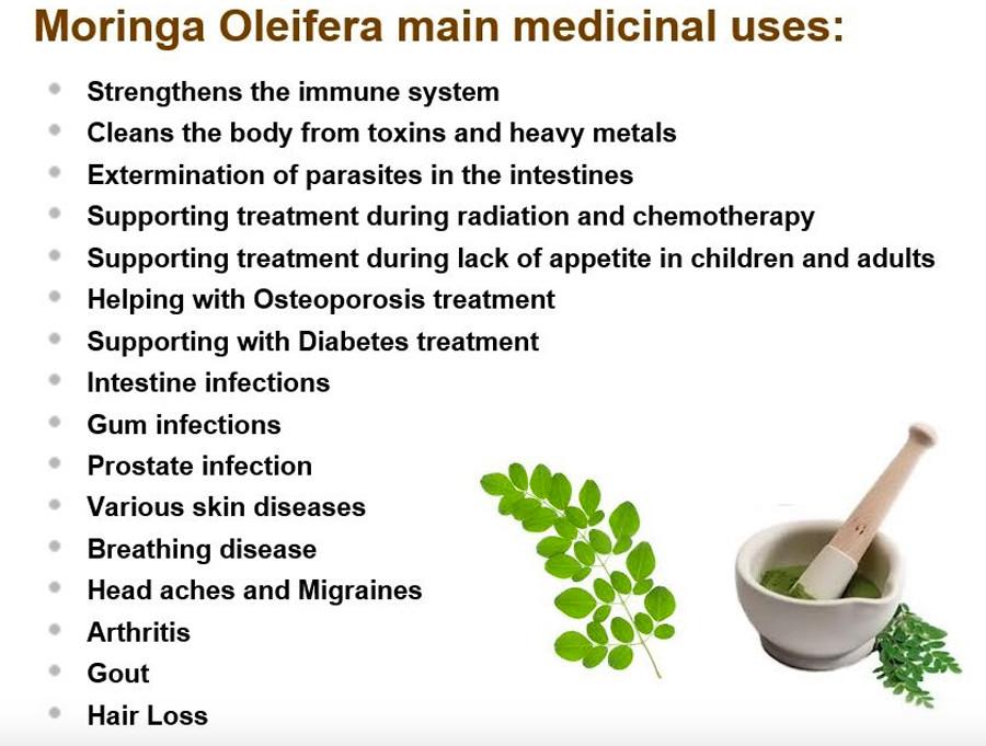 moringa-oleifera-natural-raw-superfood-1024x1024.jpg