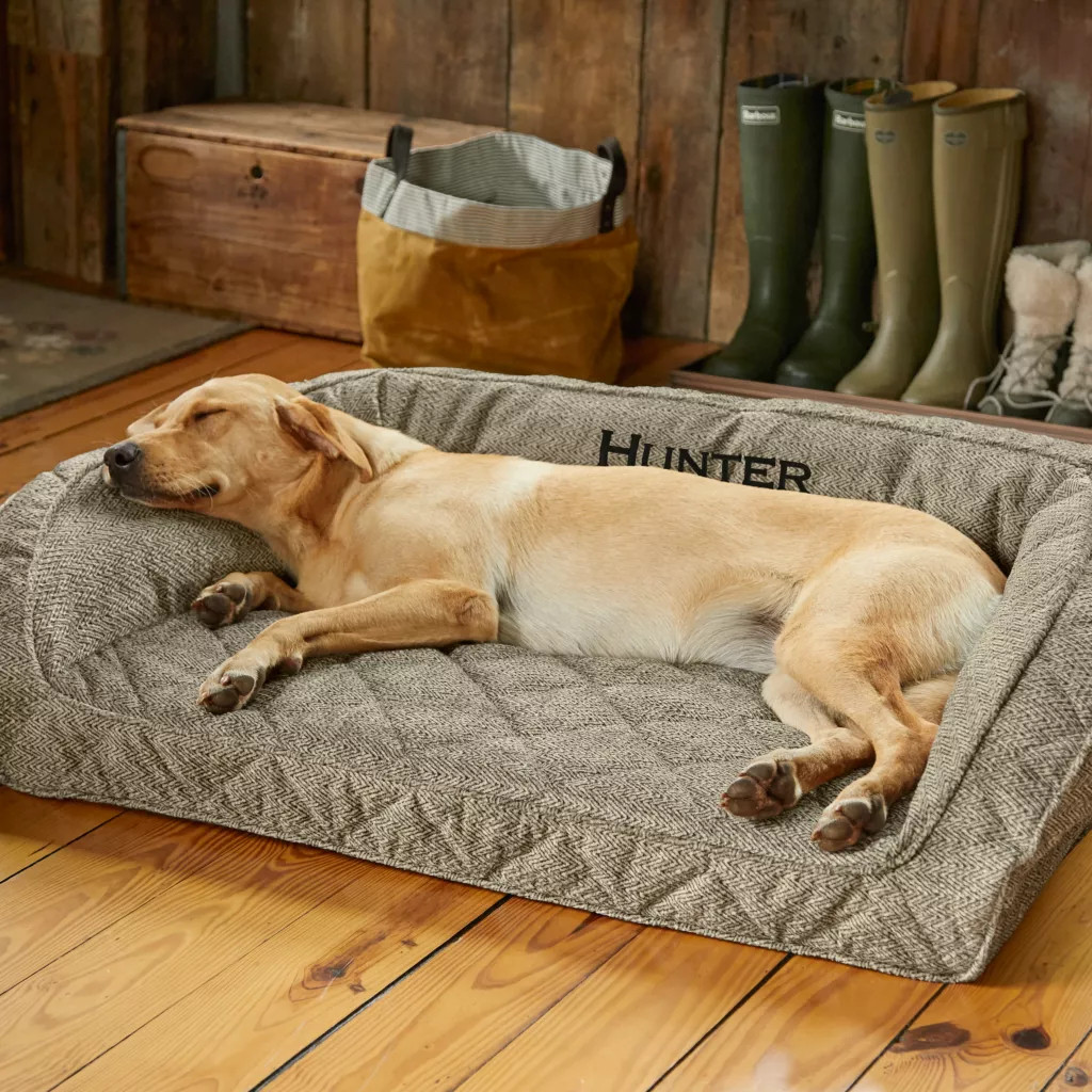 Memory Foam Large Bolster Dog Bed54032 Gordy Sons Outfitters