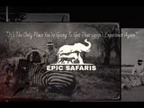Feb 11: Epic Safaris