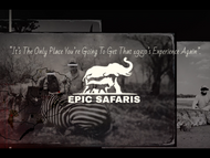 Feb 11: Epic Safaris