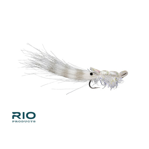 Guido Shrimp White 1/040699