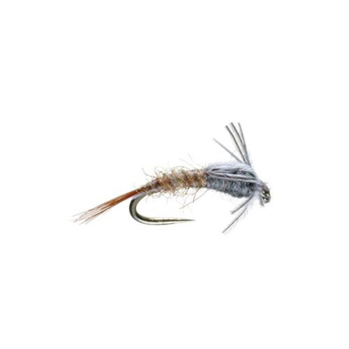 EMERGER WET BWO BARR 2025089