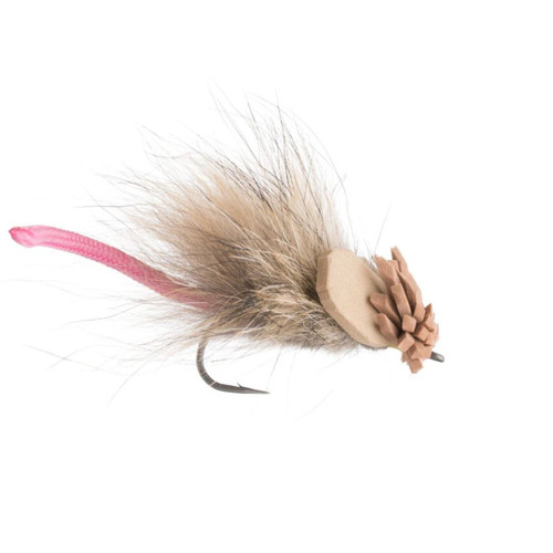 KING RAT SMALL 01