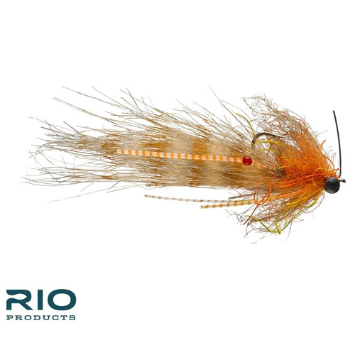 Rio's Shrimp Tease Rust 240801