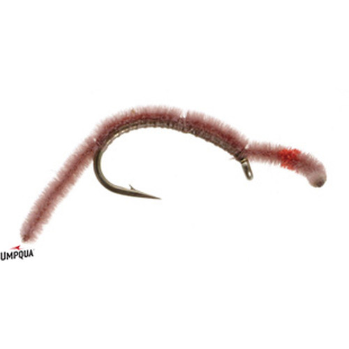 SAN JUAN WORM/WORM BROWN 1225592