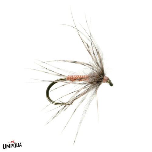 TFO 11'6