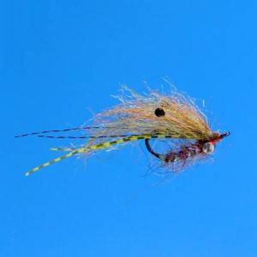 Ghost Shrimp Root Beer