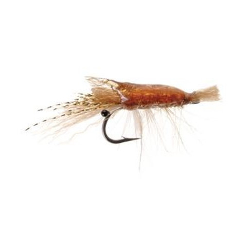 ULTRA SHRIMP TAN 1/027857