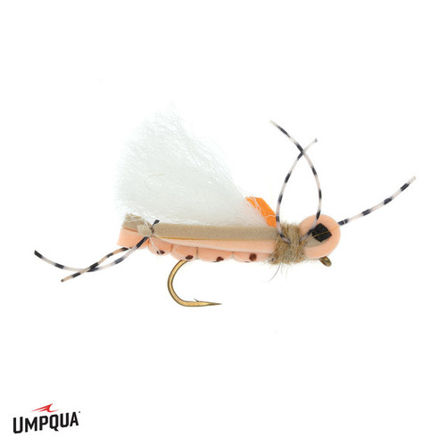 THUNDER THIGHS HOPPER PINK 1427229