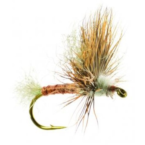 IMP SPARKLE DUN BAETIS GRAY/OLIVE