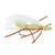 CHUBBY CHERNOBYL TAN 1227099