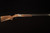 Beretta 694 Sporting 12ga/30" B-fast - RH - NEW2024-01945