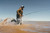 Sitka Dew Point UL Jacket