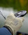 Skwala Thermo 300 Fingerless Glove
