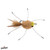 Umpqua Rag Head Crab 2.0 | Tan | Size 0666014