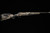 Browning X-Bolt 2 Spd Carbon Fiber SPR 6.5CM - NEW