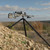 Leofoto X Mountain Forged Juggernaut S2 With Head
