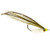 Grassett Flats Minnow White 438827