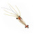 EP Flies Spawning Shrimp | Tan | Size #434442