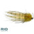 Shrimp Tease Light Olive