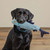 Orvis Animal Squeaky Toy54452