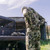 Sitka Equinox Guard Hoody