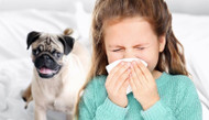 Pet Lovers, Did You Know?