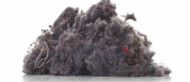 Can Dirty Air Cause Weight Gain?!?