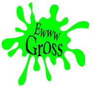 EWWW Gross!  Dust mites are probably in your home!