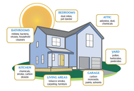 Healthy Living in Your Space