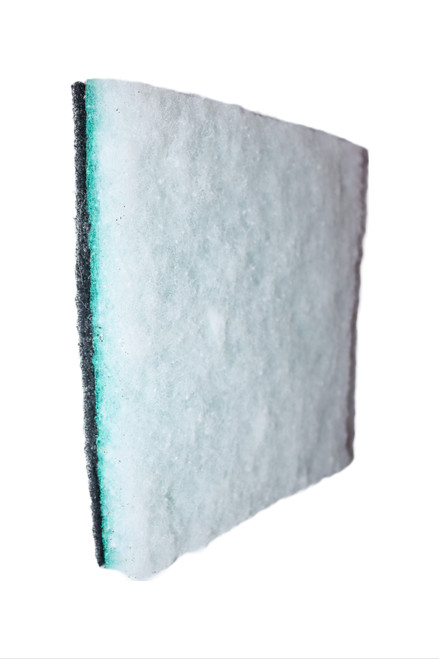 Green Screen/Carbon Auto Cabin Air Filter