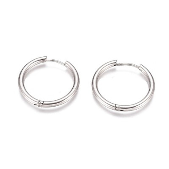 2 pairs - 304 Stainless Steel Hoop Earrings, with 316 Surgical Stainless Steel Pin, Ring, 25x2.5mm, 10 Gauge, Pin: 0.9mm