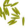 Bead, Preciosa Thorn™, Czech pressed glass, opaque chartreuse, 16x4mm top-drilled thorn. Sold per pkg of 20.