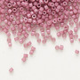 DB1376 - 11/0 - Miyuki Delica - Opaque White Lined Dark Rose - 7.5gms - Cylinder Seed Beads